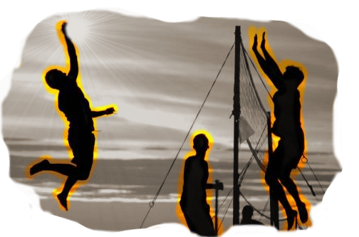 Le premier projet – My Volley Side