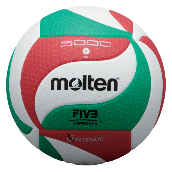 Ballon Volley-ball Molten V5M5000